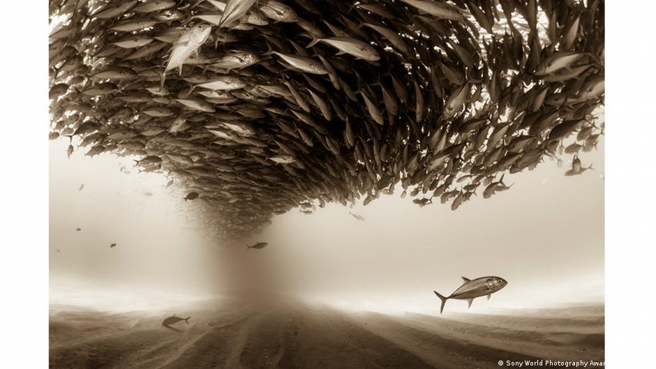 Through the lens – DW – 04/21/2017