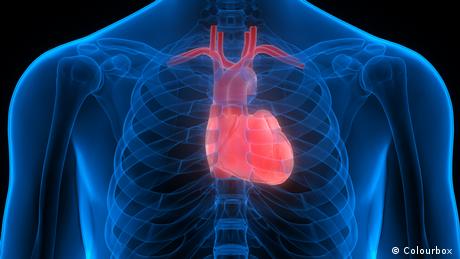 Имунизациите срещу Ковид 19 водели до ръст на сърдечно съдовите заболявания твърдят
