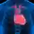 Herz Organ menschlicher Körper Illustration