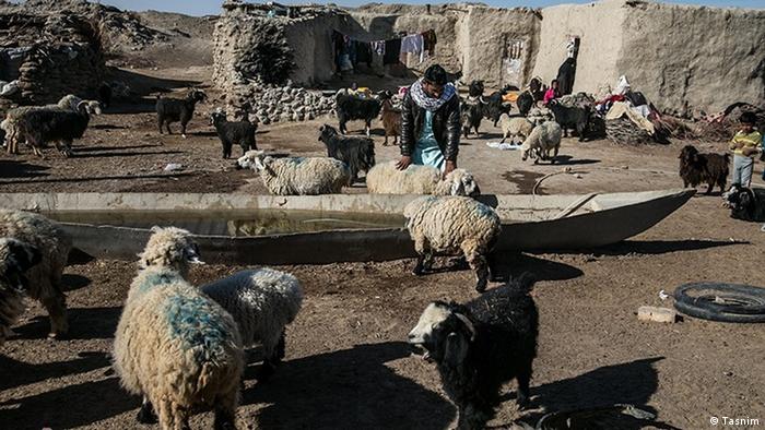 Sheep, a few people in arid region with mud houses