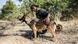 Südafrika Kruger Nationalpark Ranger mit Hund Südafrika Kruger Nationalpark Ranger mit Hund