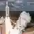 Symbolbild Start einer Ariane 5