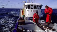 Baltic Sea small scale fishing winds down after EU quota cut