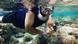 Coral farming, Fiji Coral farming, Fiji