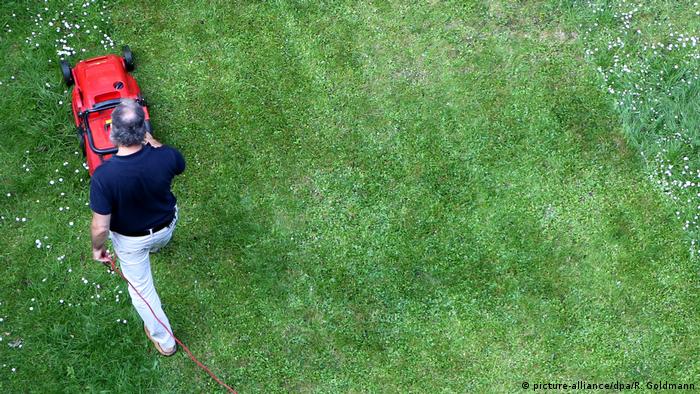 Mann mäht den Rasen (picture-alliance/dpa/R. Goldmann)