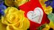 Muttertag Blumen und Karte Muttertag Blumen und Karte