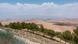 Desert landscape in Jordan; green trees planted in a row in the foreground Desert landscape in Jordan; green trees planted in a row in the foreground
