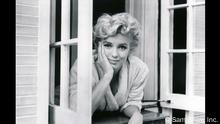 Die Wimpern der Marilyn Monroe