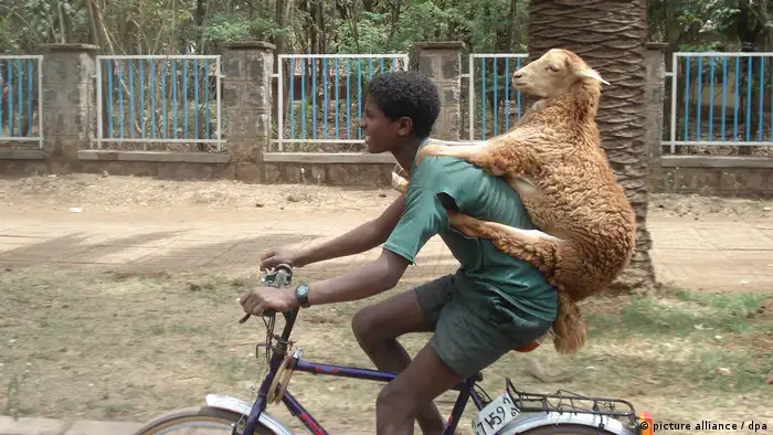 200 Jahre Fahrrad Äthipien Junge mit einem Schaf in Bahir Dar (picture alliance / dpa)