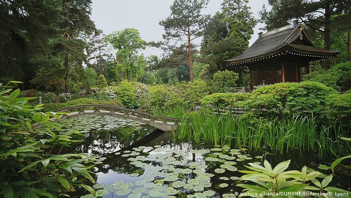 UK Bildergalerie Manchester Sehenswürdigkeiten | Der Japanische Garten im Tatton Park (picture-alliance/DUMONT Bildarchiv/D. Lyons)