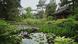 Der Japanische Garten im Tatton Park Der Japanische Garten im Tatton Park