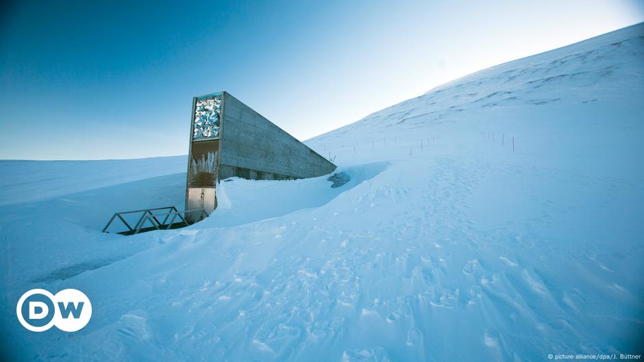 How secure is Svalbard seed vault? – DW – 05/25/2017