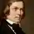 Komponist Robert Schumann