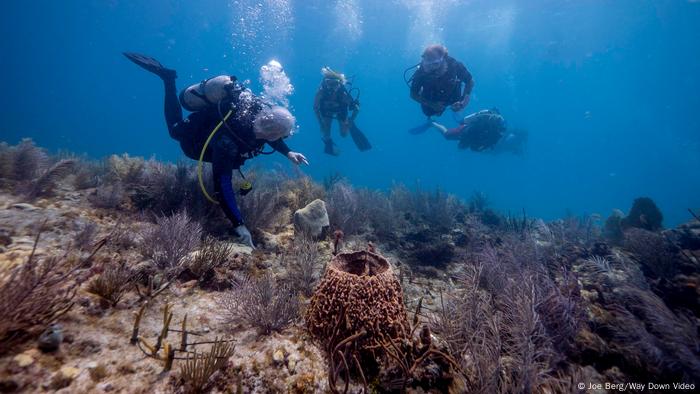 Before you go snorkeling, Summer gets a nice cum facial in H