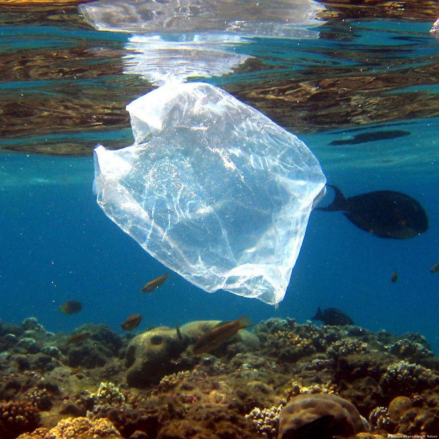 Living Planet: Save our seas