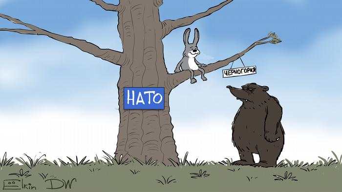 Как Россия смотрит на вступление Черногории в НАТО | DW Учить немецкий