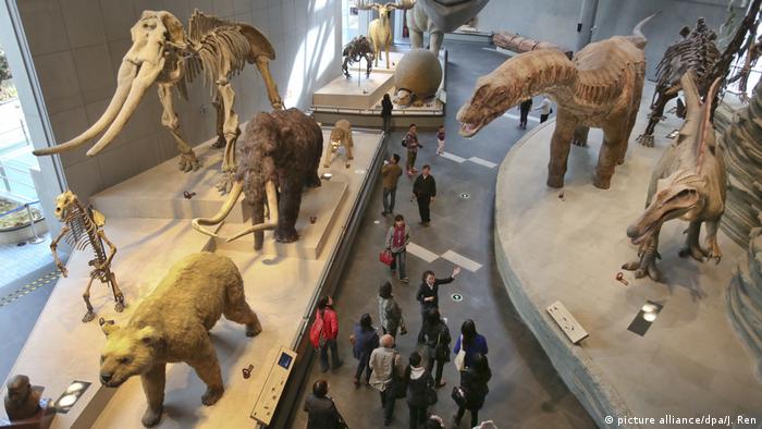 Visitors look at specimens of animals on display at the Shanghai Natural History Museum