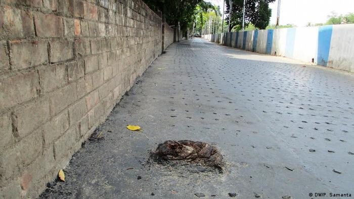 Indien Umweltverschmutzung in Kalkutta (DW/P. Samanta)