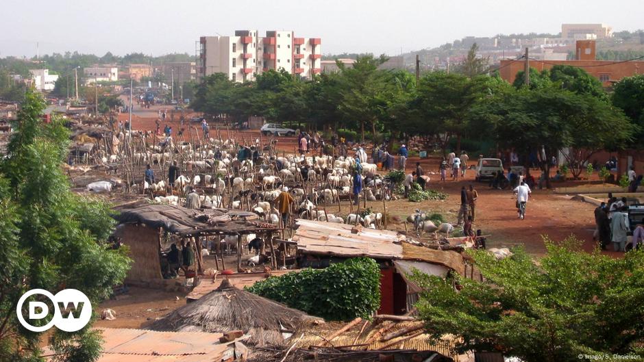 Au Mali, les vendeurs de bétail en grève