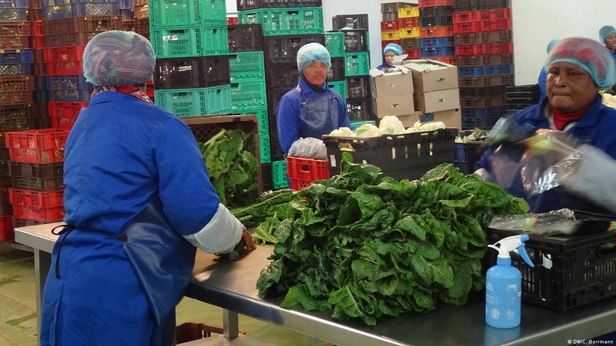 Greening food transport DW 06/20/2017