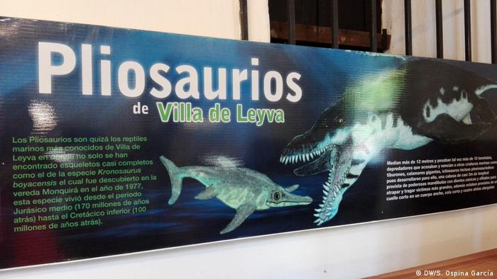 Entre los reptiles marinos encontrados en Villa de Leyva se destacan los plesiosaurios, pliosaurios, ichtiosaurios, mosasauros y el famoso Kronosaurus boyacensis (porque fue hallado en el departamento de Boyacá).