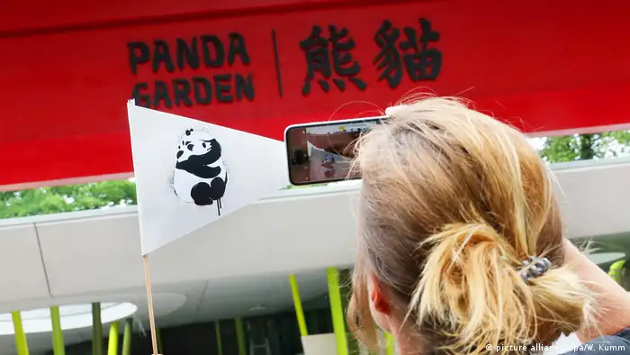 Deutschland Panda-Garden im Zoo Berlin