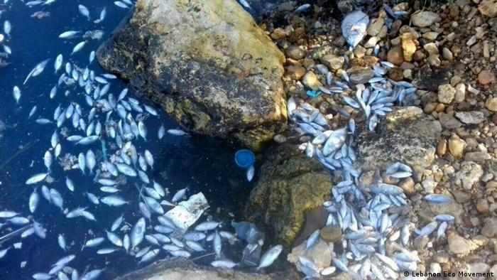 Libanon Müll Entsorgung Küste