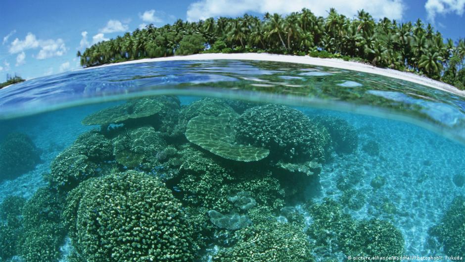 حمام بارد ومروحة أخطاء شائعة في التعامل مع موجات الحر منوعات نافذة Dw عربية على حياة المشاهير والأحداث الطريفة Dw 03 07 2021