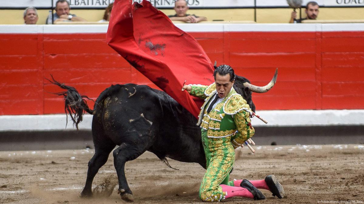 Corrida de touros na Espanha deixa sete feridos; veja vídeo