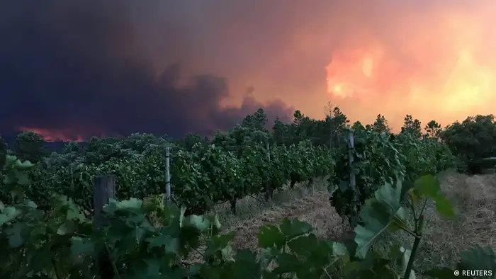 Der letzte große Waldbrand in Portugal ereignete sich 2003 über mehrere Wochen. 20 Menschen starben und 425.000 Hektar Wald- und Buschland verbrannten. 2016 verbrannten mehr als 100.000 Hektar auf dem Festland und der Atlantik-Insel Madeira. Doch seit Jahrzehnten gab es keinen so verheerenden Waldbrand mehr wie an diesem Wochenende.