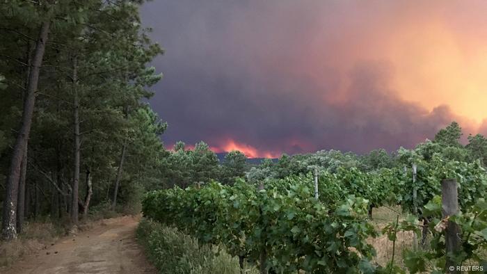 Portugal Waldbrand (REUTERS)
