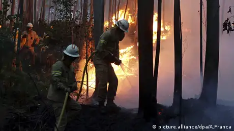 Waldbrand in Portugal Feuerwehr im Einsatz (picture.alliance/dpa/A.Franca)
