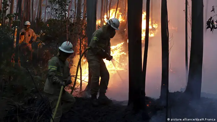 Allein 700 Feuerwehrmänner mit rund 200 Fahrzeugen und zwei Löschflugzeugen bekämpfen seit Samstag die Flammen. Weitere Hilfe hat Portugal über das Zivilschutzprogramm der EU angefordert.