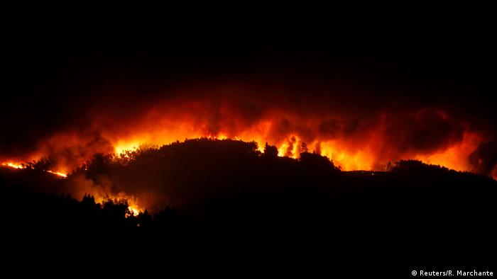 Incêndio numa floresta em Portugal