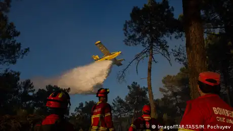 Portugal Waldbrände (Imago/ITAR-TASS/M. Pochuyev)