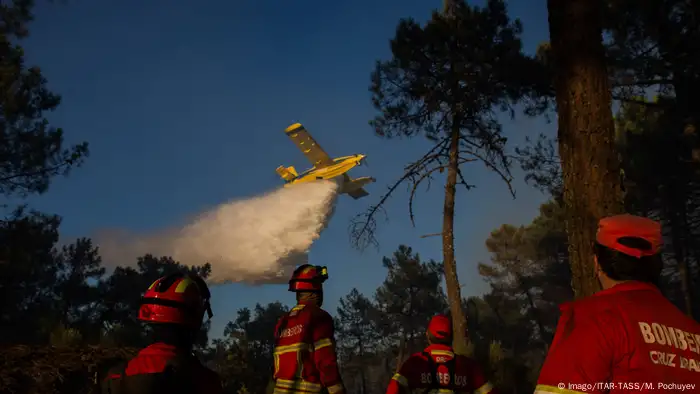 Inzwischen haben Frankreich und Spanien bereits Löschflugzeuge entsandt. In Portugal kommt es während der trockenen Sommer regelmäßig zu Waldbränden. Dieses Bild stammt aus dem Jahr 2016.