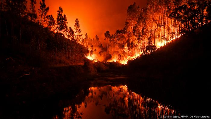 Portugal Waldbrände (Getty Images/AFP/P. De Melo Moreira)