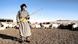 A herder takes his herd to the daily grazing pasture, early morning. A herder takes his herd to the daily grazing pasture, early morning.