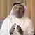 انور قرقاش، وزیر مشاور در امور خارجه امارات متحده عربی