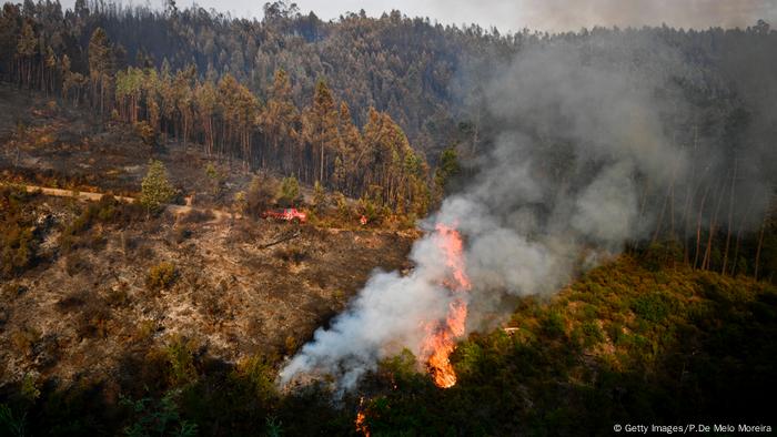 Incendio Em Portugal Teve Mao Criminosa Diz Chefe Dos Bombeiros Noticias Internacionais E Analises Dw 21 06 2017