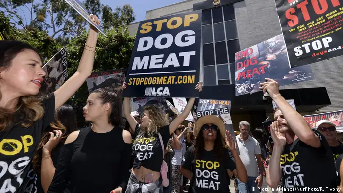 Demo gegen Dog-Meat-Festival