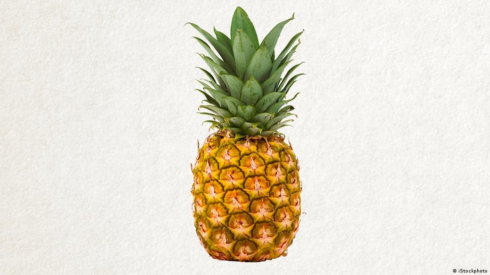 Vocabulary Eine Pizza bitte! DW Learn German