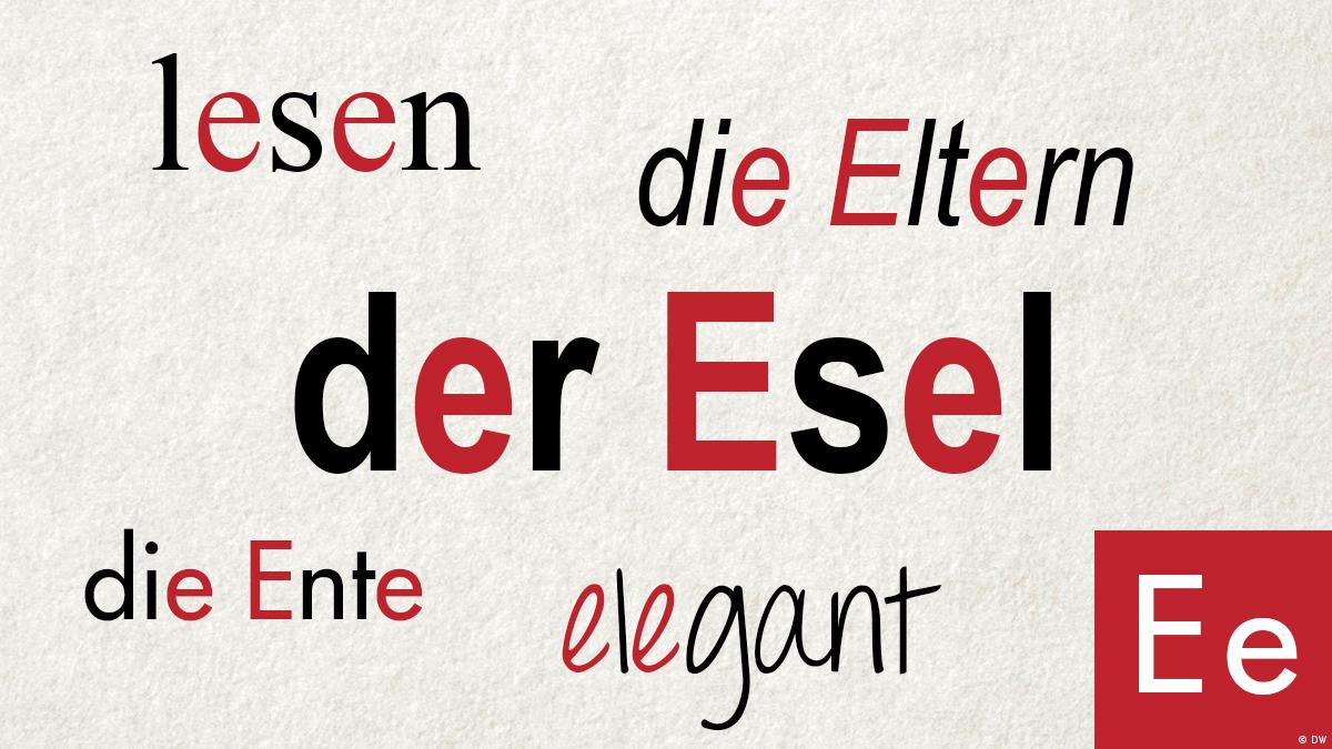 Welches Bild passt zu dem Wort? E e DW Deutsch Lernen