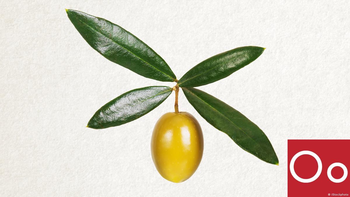 Buchstaben ordnen O o DW Deutsch Lernen