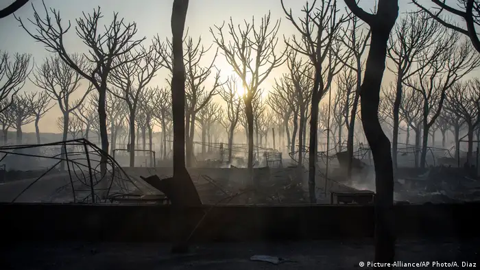 Spanien Nationalpark Donana Waldbrand (Picture-Alliance/AP Photo/A. Diaz)