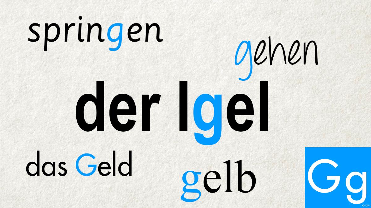 which-picture-matches-the-word-g-g-dw-learn-german