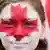 Clara Swain looks on with a painted face as she participates in the East York Toronto Canada Day parade