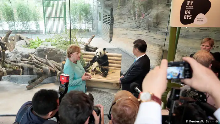 Berlin Willkommenszeremonie Pandabären | Xi Jinping & Angela Merkel