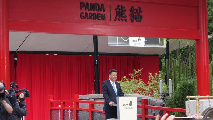 Deutschland Berlin - Pandadiplomatie am Berliner Zoo mit Merkel und Xi Jinping (DW/C. Xiaowei)