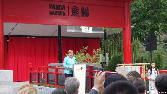 Deutschland Berlin - Pandadiplomatie am Berliner Zoo mit Merkel und Xi Jinping (DW/C. Xiaowei)